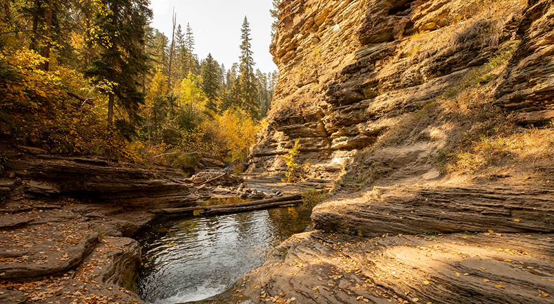 creek in the fall with rocks around